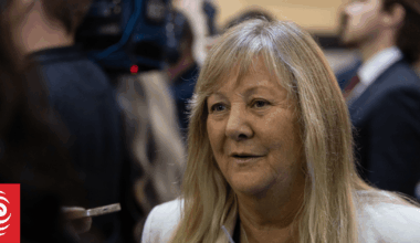 Environment minister accused of using position to influence council's legal process
