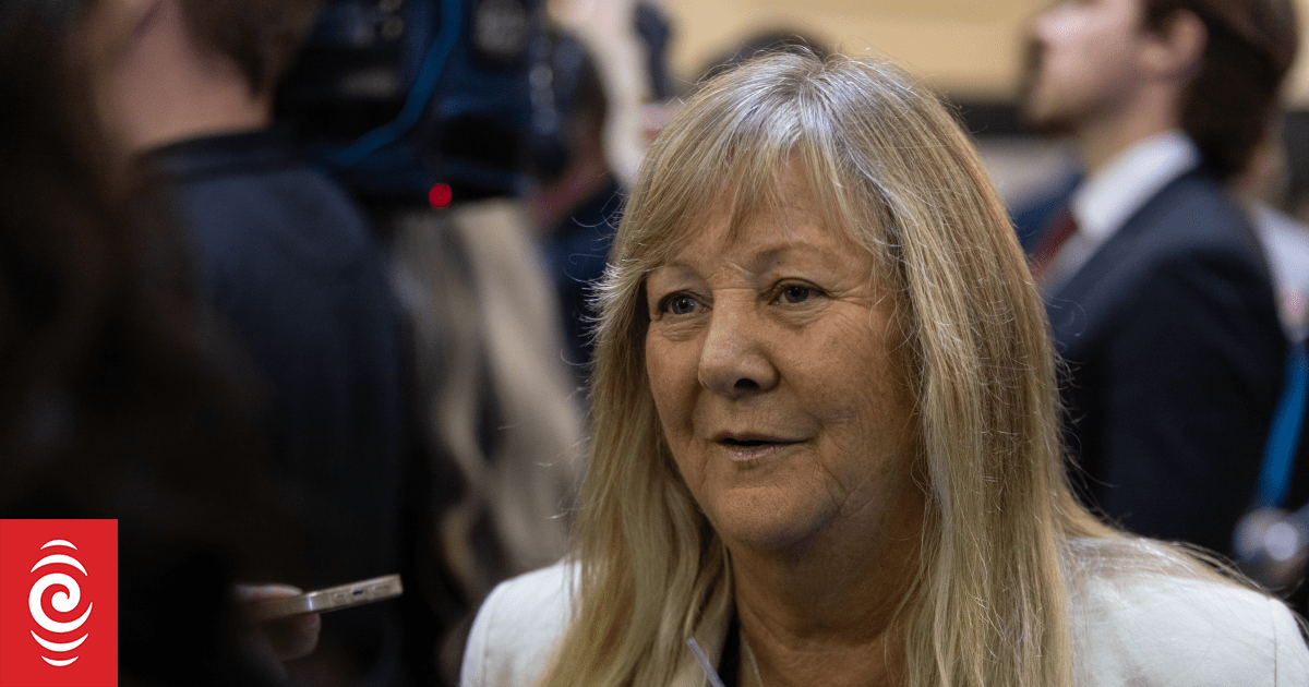 Environment minister accused of using position to influence council's legal process