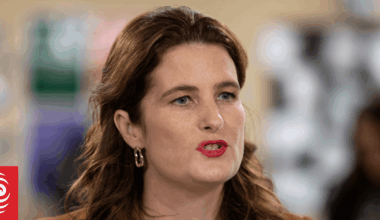 Selling Chorus securities is 'hocking off' debt not assets, Finance Minister says