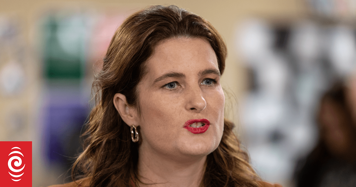 Selling Chorus securities is 'hocking off' debt not assets, Finance Minister says