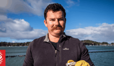 Mahurangi oyster farmers despair at Watercare's biggest sewage spill yet