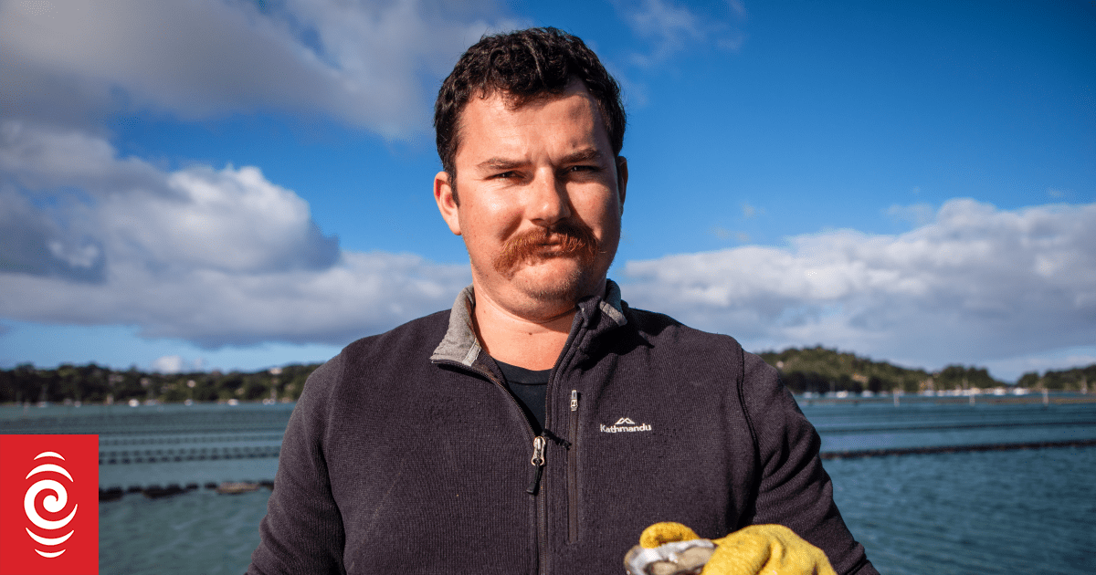 Mahurangi oyster farmers despair at Watercare's biggest sewage spill yet