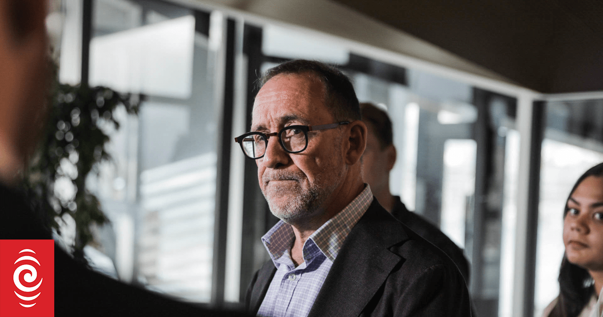 Andrew Little wins mayoralty bid in Wellington, Tory Whanau misses out on Māori Ward seat