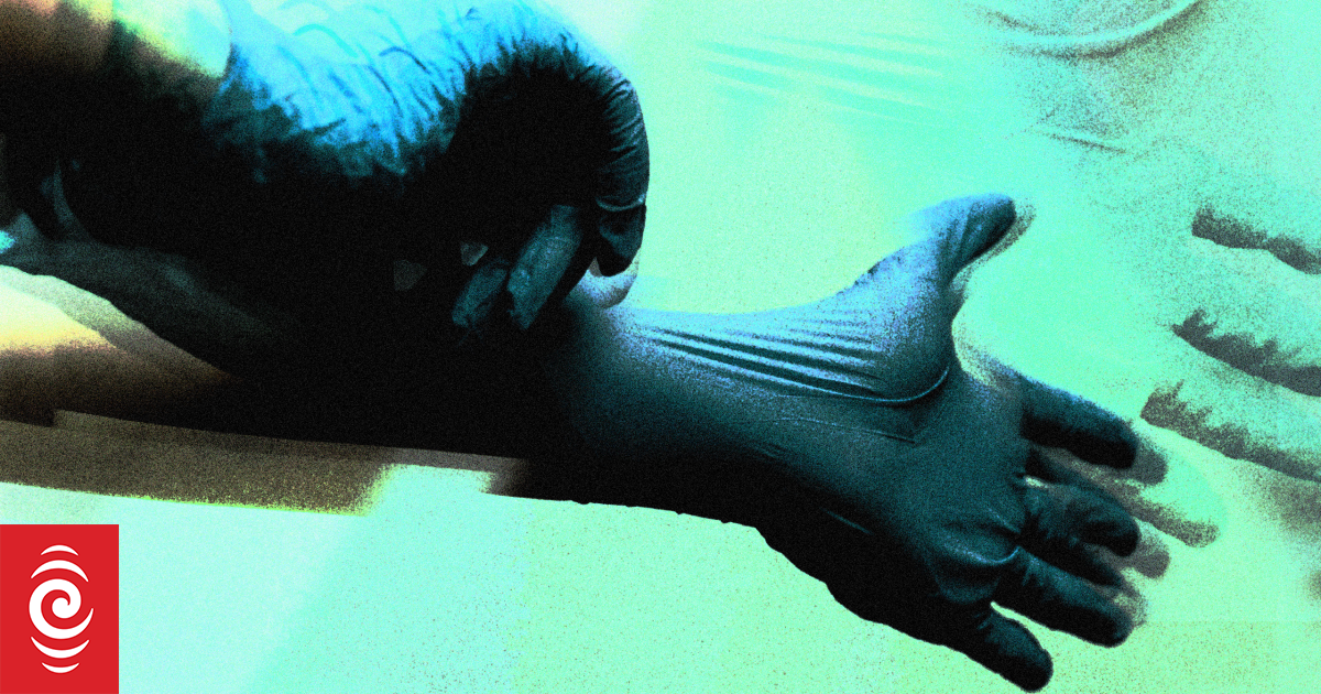 Patients worry about rise of corporate-owned GP clinics, but they say judge us 'on the outcomes'