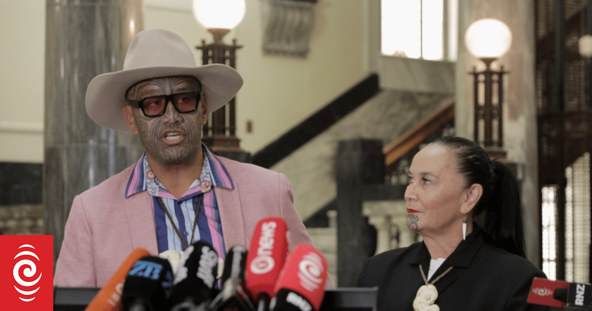 Te Pāti Māori promises 'reset' after rift with Toitū Te Tiriti