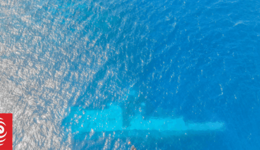 'We're eating tinned fish': Samoa villagers plead for Manawanui wreckage compensation