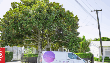 Government mulls possible sale of Chorus shares