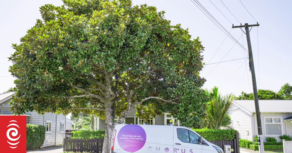 Government mulls possible sale of Chorus shares