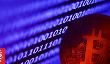 Sharesies platform reports record turnover