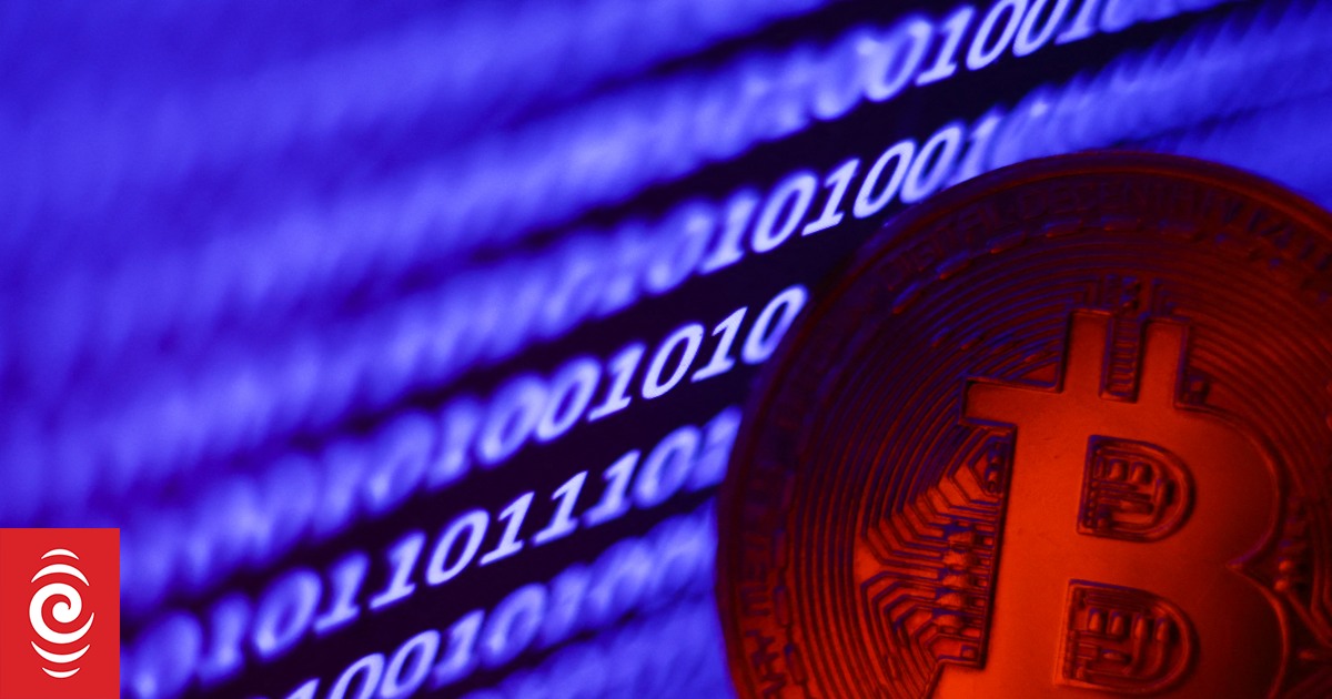 Sharesies platform reports record turnover