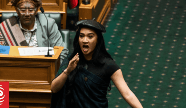 Te Pāti Māori MP Hana-Rawhiti Maipi-Clarke named by Time as one of the world's 'most influential rising stars'