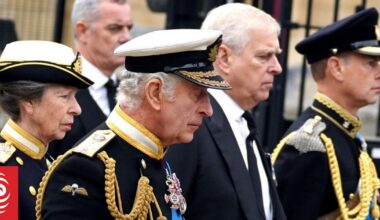 Prince Andrew's decision to give up his titles may have been quietly orchestrated by members of his own family