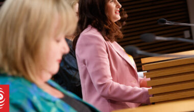 Morning Report political panel: Nicola Willis defends telling Greens to 'call the dogs off'