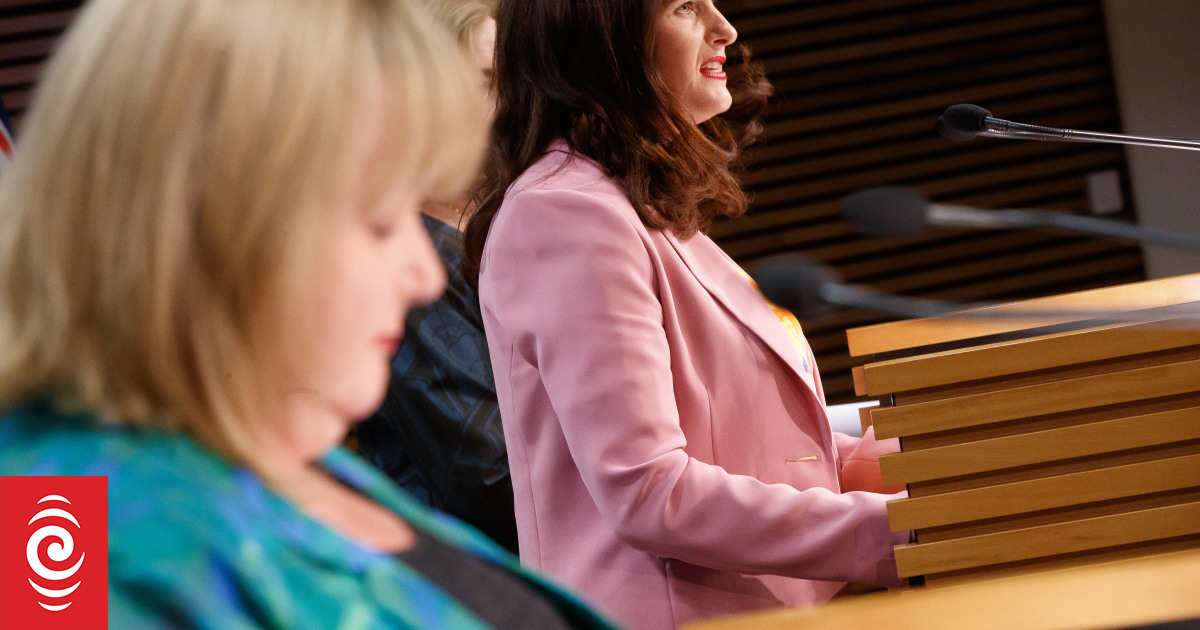 Morning Report political panel: Nicola Willis defends telling Greens to 'call the dogs off'