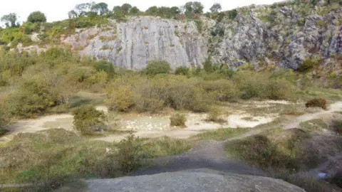 Andrew Whitehouse A view of Radford Quarry in Plymouth. There are rocks in the background and areas flowery grassland in-between pavements. 