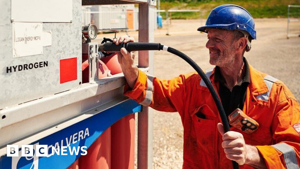 Dorset Council seeks to 'turbo charge' push for net zero