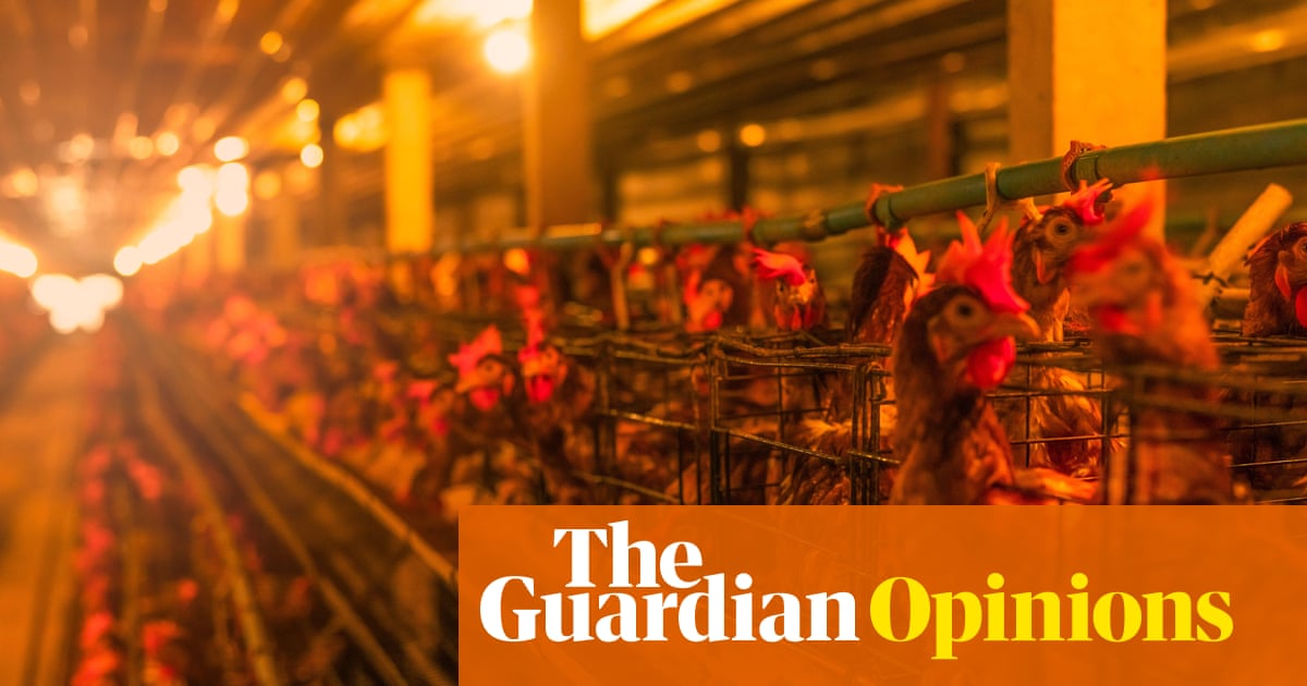 Can we keep antibiotics working? Yes, but the world needs to follow the EU and the UK | Devi Sridhar