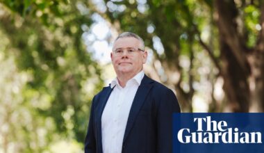 Companies could have profits from breaking environment laws stripped under Australian reforms | Australian politics