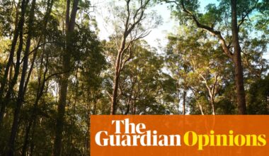 As the Coalition shows its colours on nature, Labor faces a question: will it really protect Australia’s wildlife? | Adam Morton