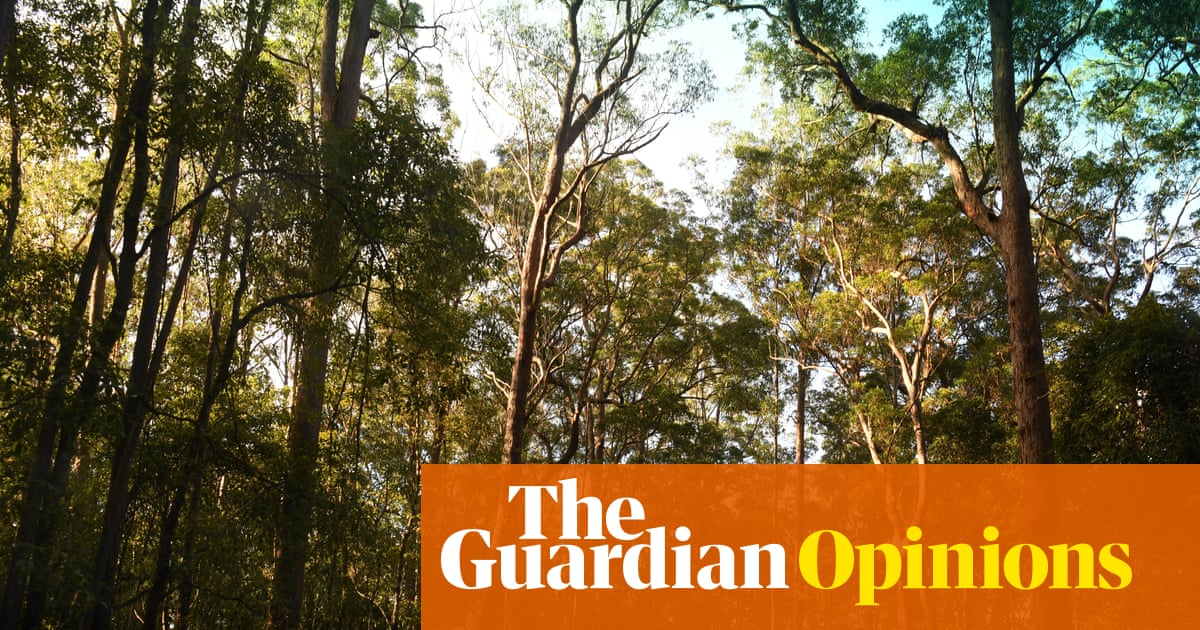 As the Coalition shows its colours on nature, Labor faces a question: will it really protect Australia’s wildlife? | Adam Morton