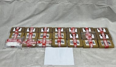 SunLive - Cocaine bust: 21kg seized at Port of Tauranga