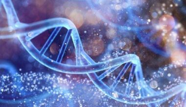 Surprising Way Parents Transfer Longevity to Offspring