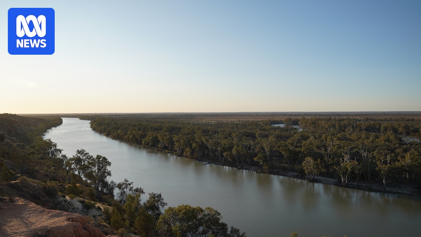 South Australian Riverland welcomes summer tourists avoiding algal bloom