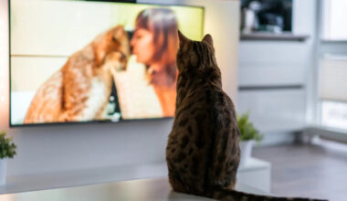 Yahoo lifestyle home