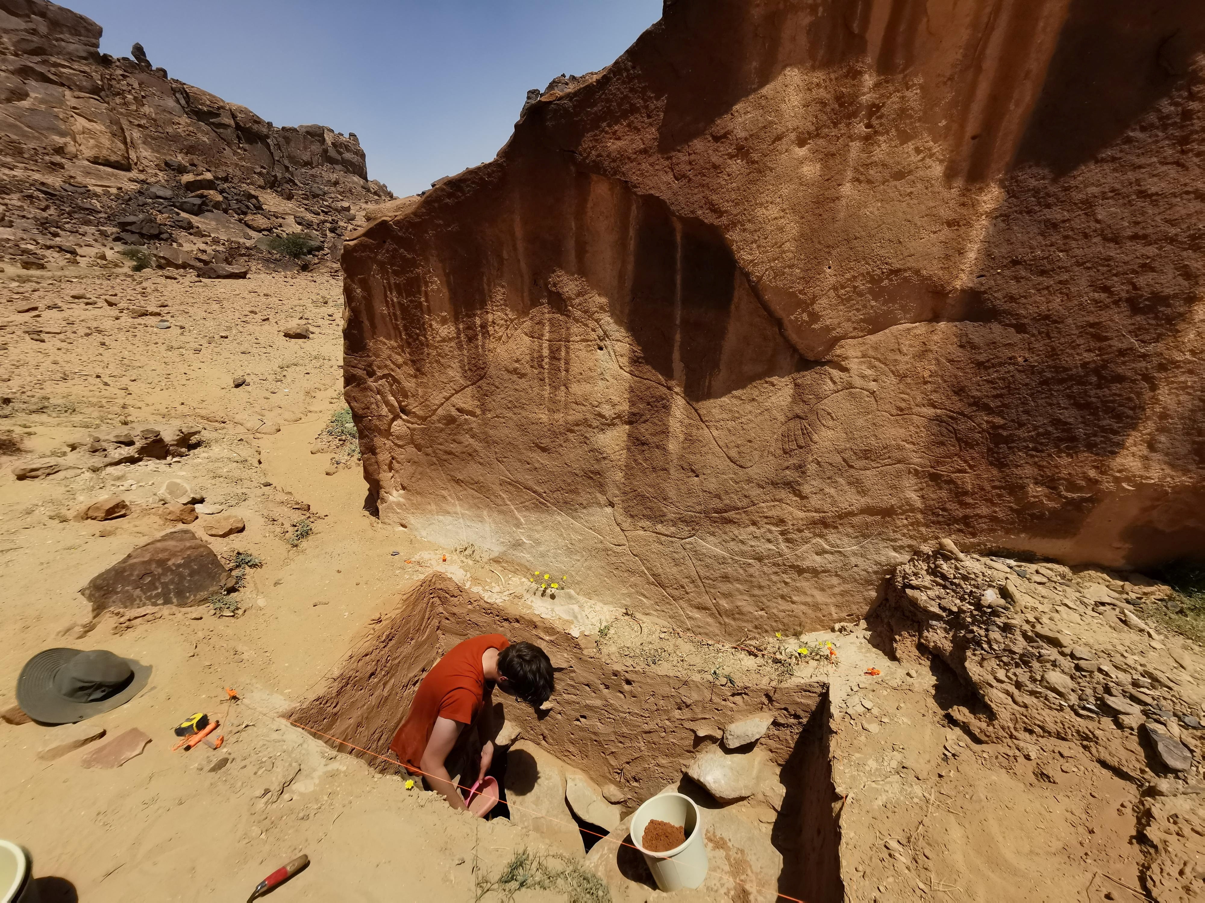 A view shows the excavation of a trench directly beneath a rock art panel bearing an engraving on sandstone of a camel