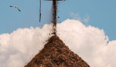 Big Tech's big bet on a controversial carbon removal tactic