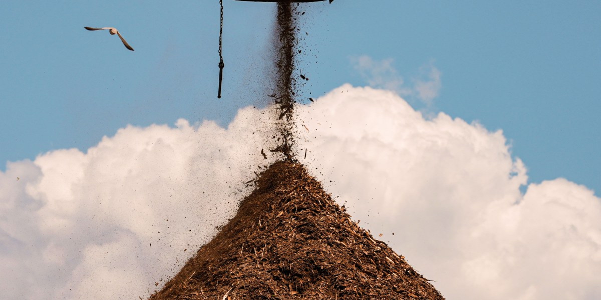 Big Tech's big bet on a controversial carbon removal tactic