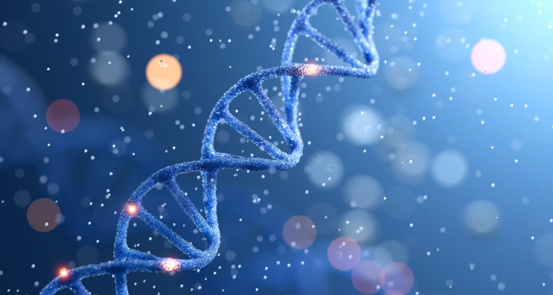 Ancient DNA Recovery at Schöningen Site Challenges Long-Held Assumptions on Genetic Preservation