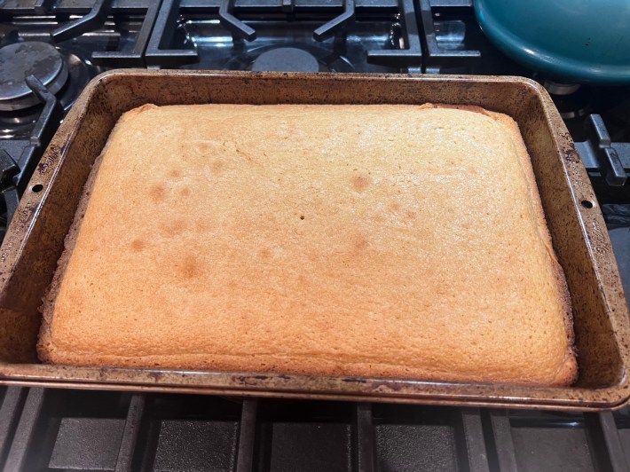 A finished sponge, pale brown.