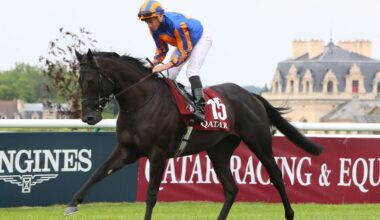 Prix du Jockey Club Winner Camille Pissarro Retired to Coolmore Stud for 2026