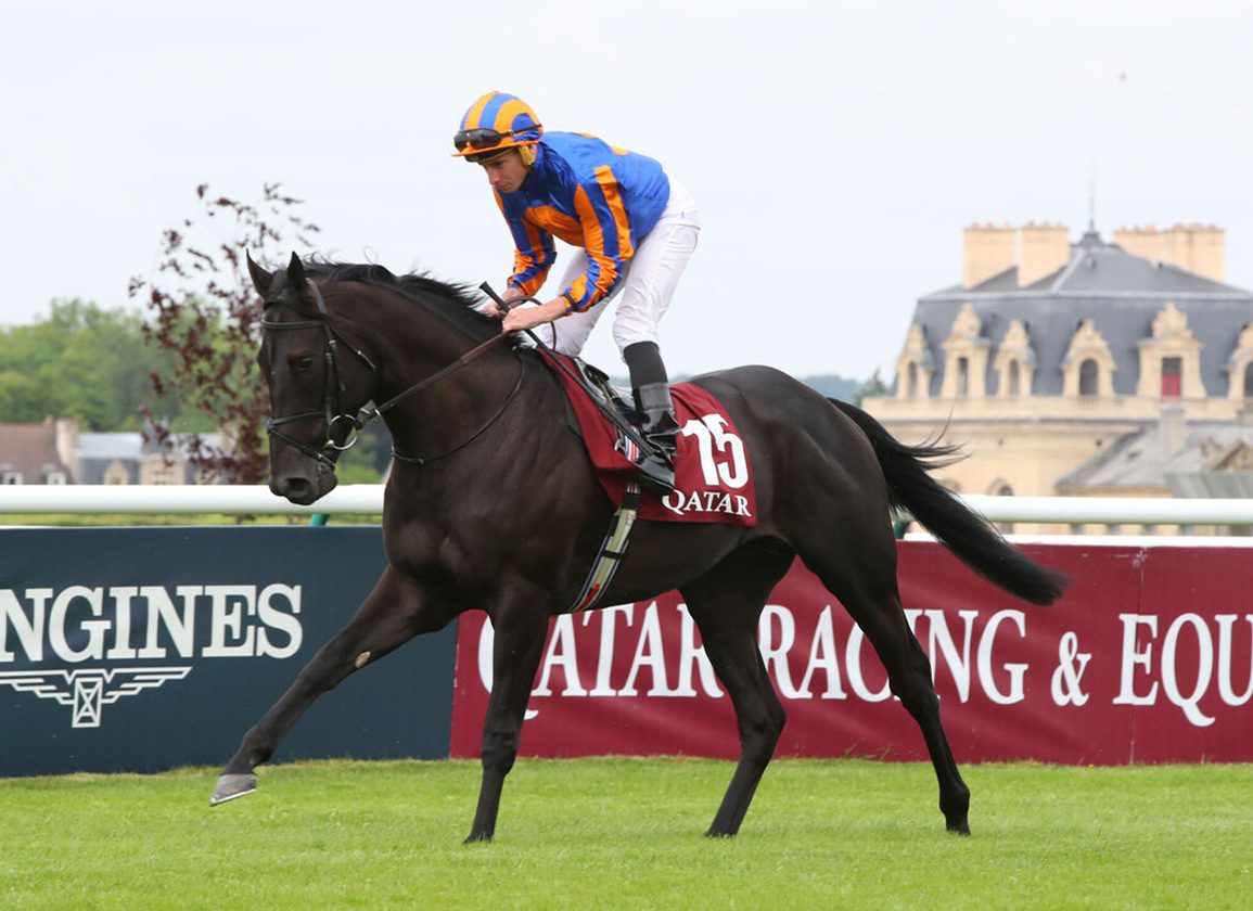 Prix du Jockey Club Winner Camille Pissarro Retired to Coolmore Stud for 2026