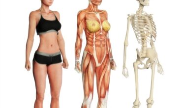 Four distinct subgroups of PCOS open up for more tailored treatments