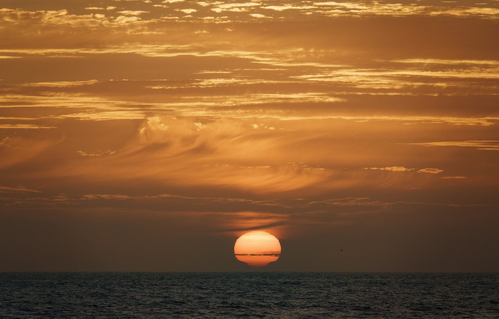 The ocean is a carbon toilet. Marine heat waves are clogging it.