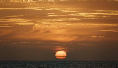 The ocean is a carbon toilet. Marine heat waves are clogging it.