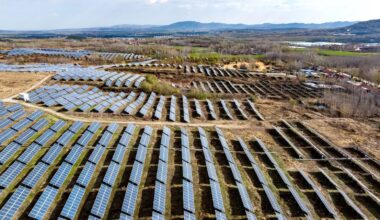 aerial view of solar panels in field