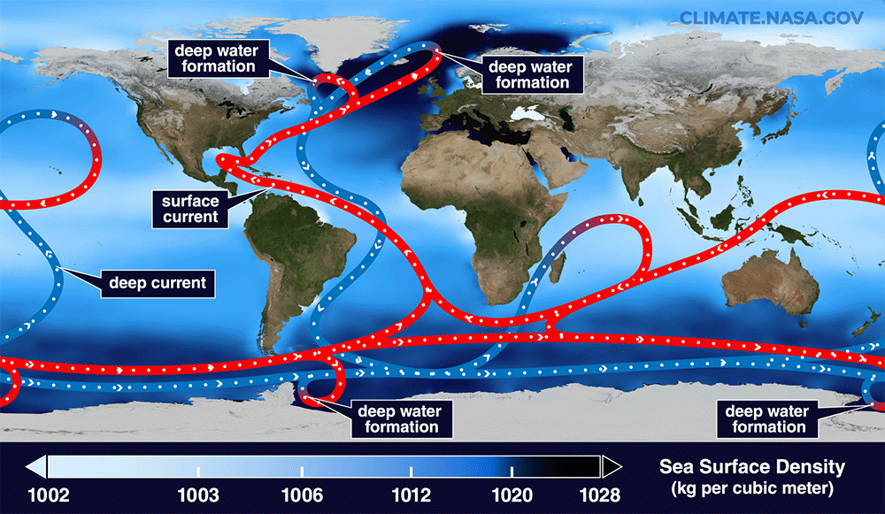 The Atlantic Meridional Overturning Circulation carries cold water from near Greenland (blue line) southward along the seafloor toward Antarctica, while currents nearer the surface transport warmer water northward. Credit: NASA/Goddard Space Flight Center Scientific Visualization Studio