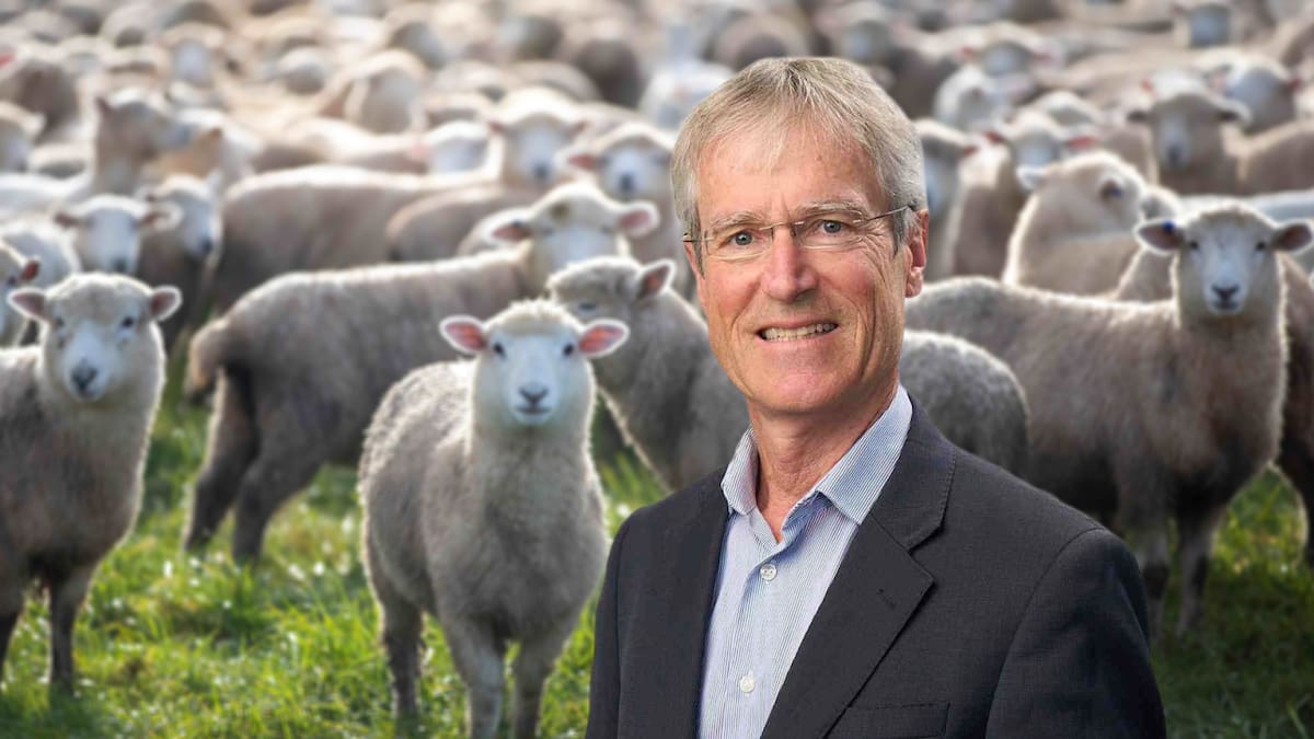 Meat processor Alliance Group confident Dawn Meats proposal will succeed despite last minute bid to keep it Kiwi-owned