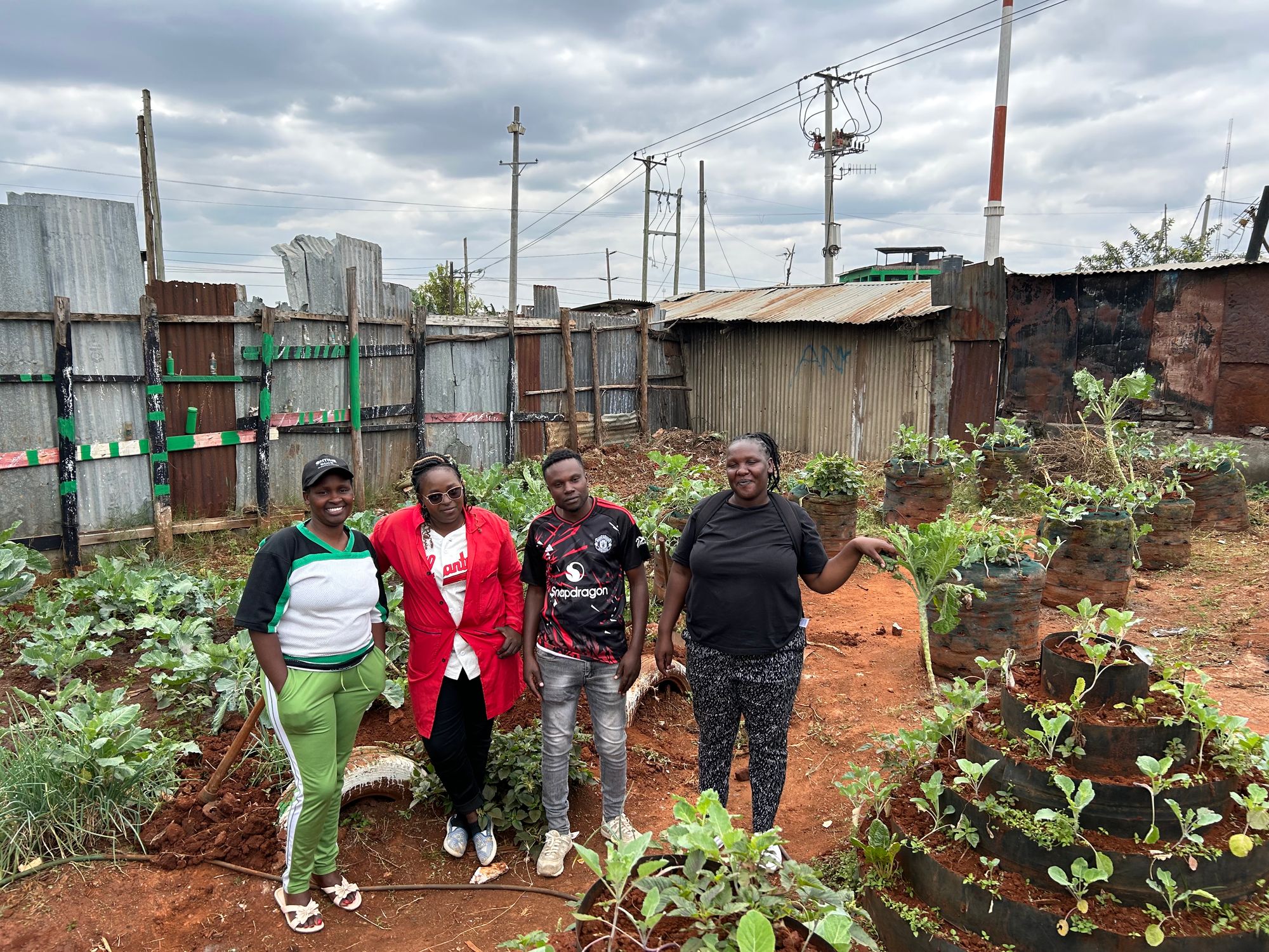 Friends Ann, Rosemary, Patrick, and Lydia (L-R) in the yard that they rent in Korogocho, where they grow vegetables to sell