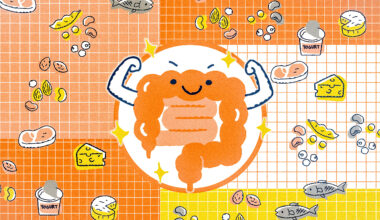 A cysteine-rich diet may promote regeneration of the intestinal lining, study suggests | MIT News