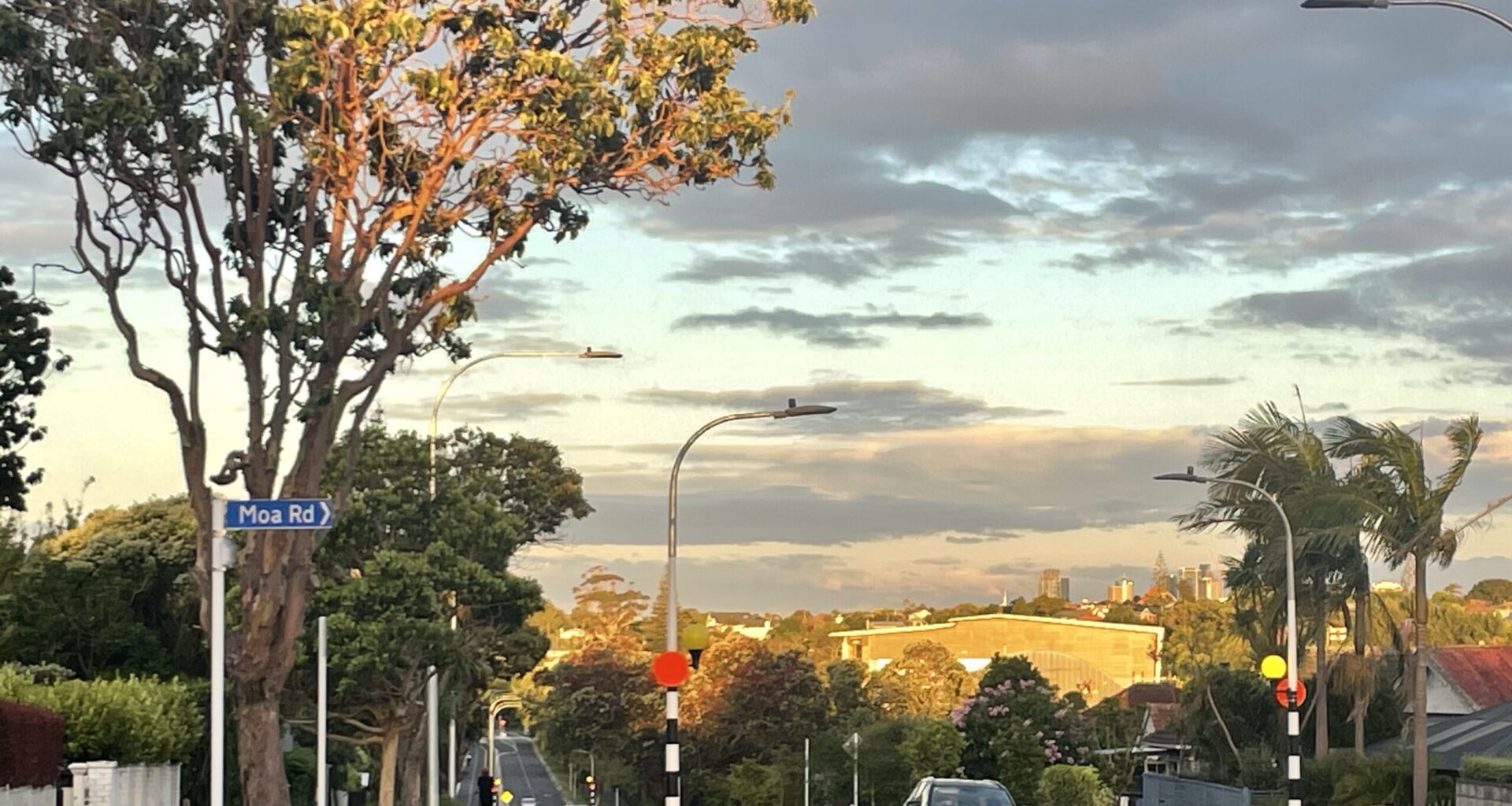 Weekly Roundup 24-October-2025 - Greater Auckland