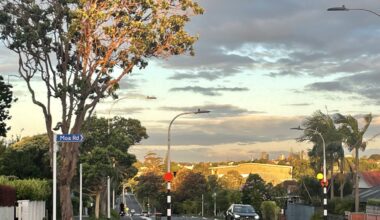 Weekly Roundup 24-October-2025 - Greater Auckland