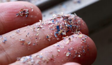 Close up shot of microplastics on a person's hand