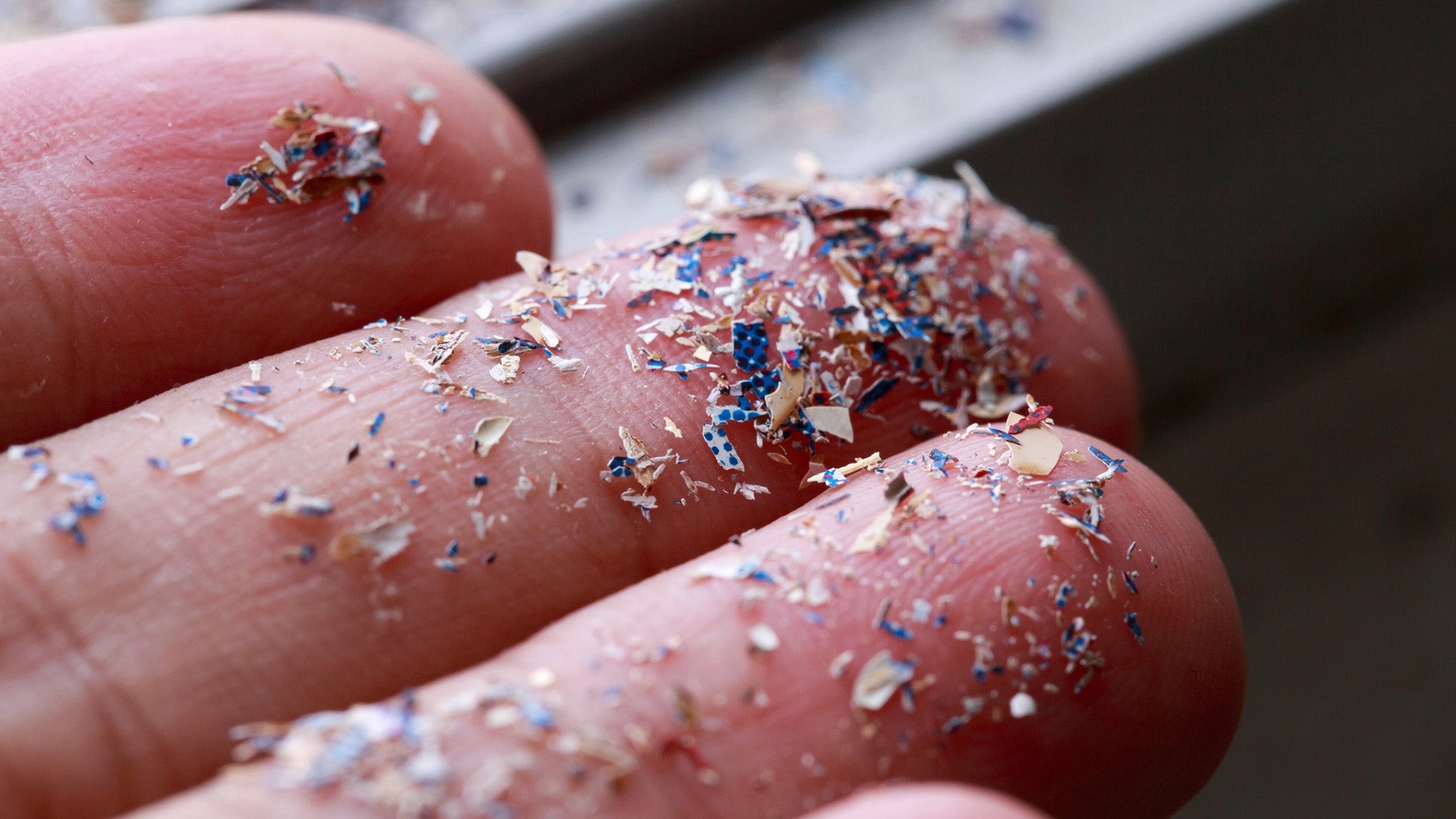 Close up shot of microplastics on a person's hand
