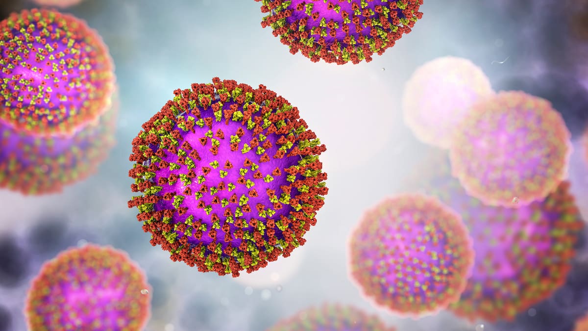 Health NZ warns of rising measles risk after new cases in Manawatū and Nelson