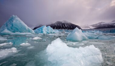 Icebergs floating near face of Sveabreen Glacier in Nordfjorden.
