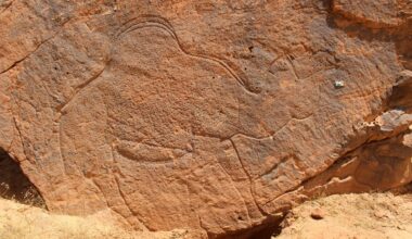 Mystery of 12,000-year-old animal carvings found in uninhabitable desert